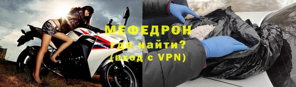 индика Белокуриха
