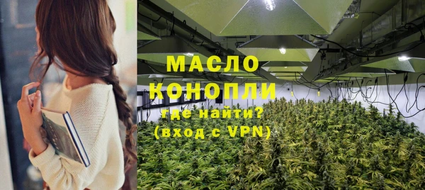 индика Белокуриха