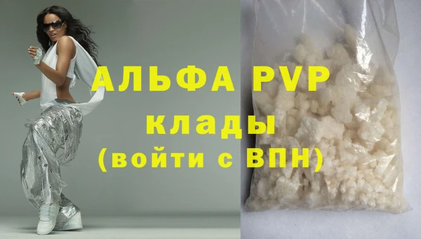 стаф Беломорск
