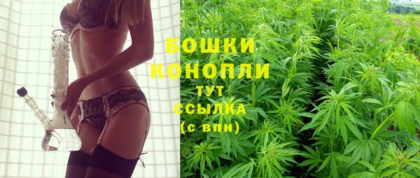 индика Белокуриха
