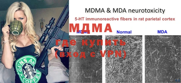 индика Белокуриха
