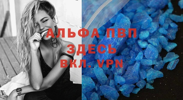 индика Белокуриха