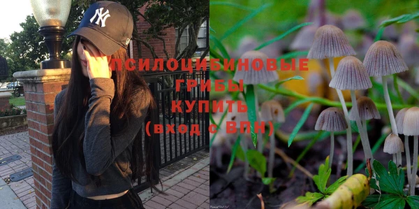стаф Беломорск