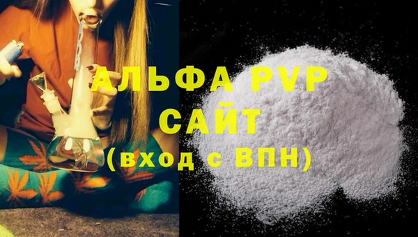 индика Белокуриха