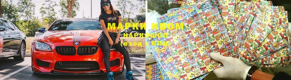 индика Белокуриха