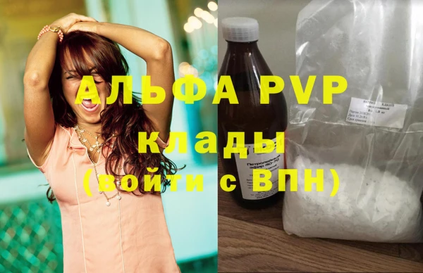 индика Белокуриха