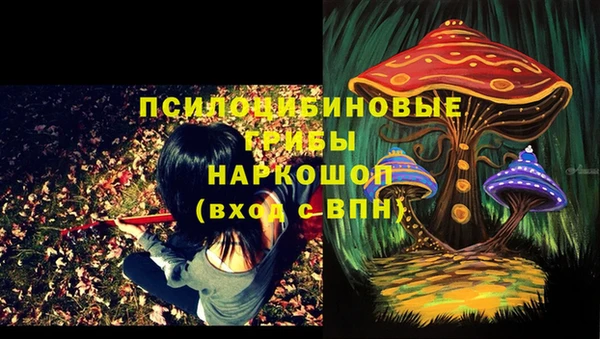 стаф Беломорск