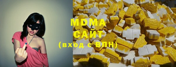 индика Белокуриха