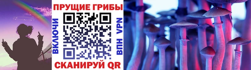 площадка телеграм Реутов Галлюциногенные грибы Psilocybine cubensis